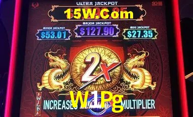 Experiência VIP W1Pg